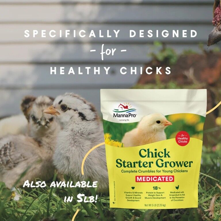 Manna Pro Medicated Chick Starter Crumbles, 5-Lb