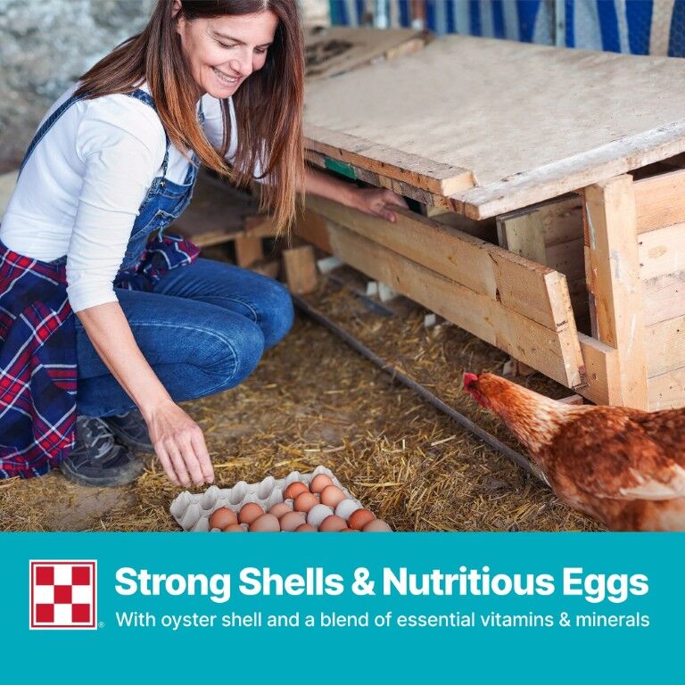 Purina Layena Crumbles 16% Layer Hen Feed, 50-Lb