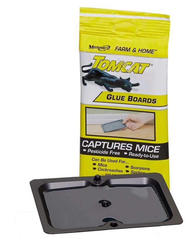 Motomco TomMouse - 2 Count