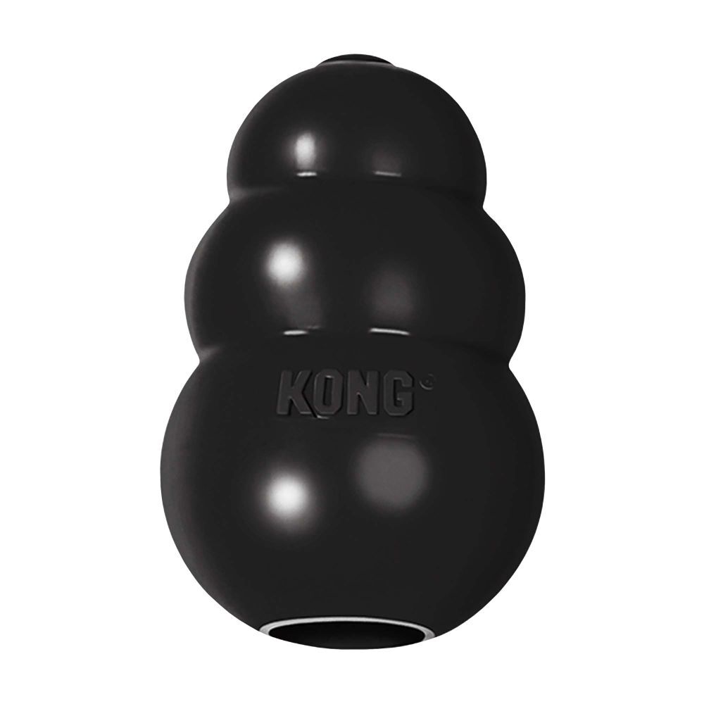 KONG Small Extreme Dog Toy