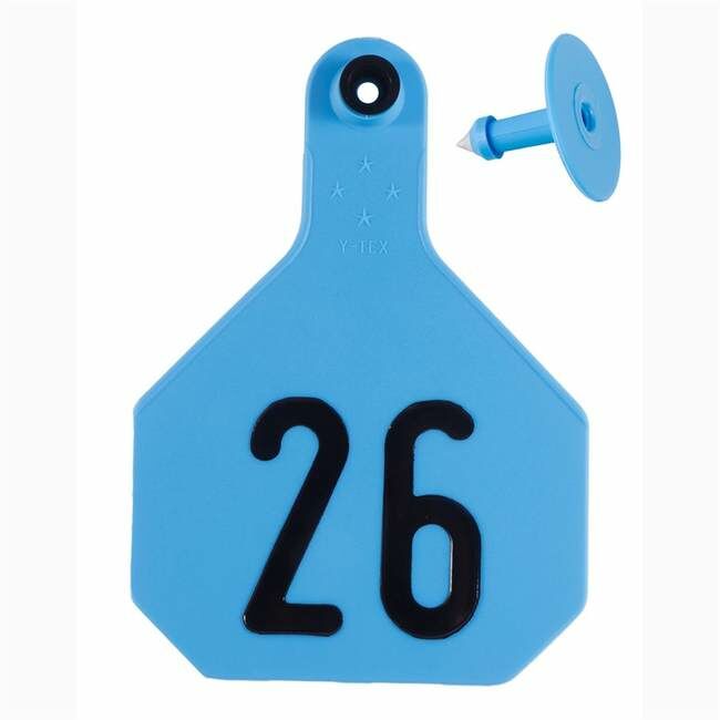 Y-Tex 4* All American Tags #26-50 - Blue