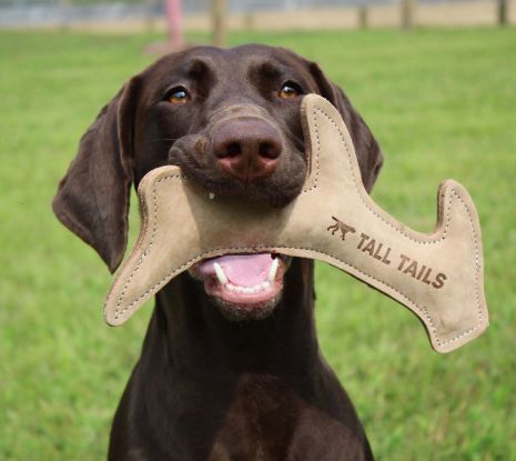 Tall Tails Natural Leather Antler Dog Toy