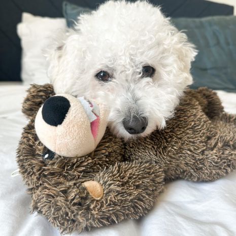 Tall Tails Grizzly Rope Body Dog Toy