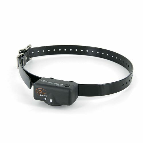 PetSafe Sportdog No Bark Rechargeable