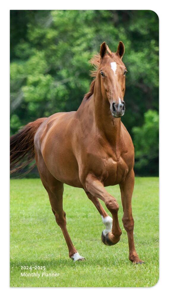 Brown Trout Publisher 2024-2025 Horse Lovers Monthly Pocket Planner Calendar, 3.5-In x 6.5-In