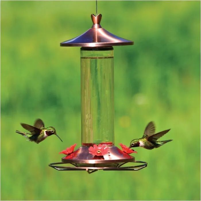 Perky-Pet Elegant Copper Glass Hummingbird Feeder