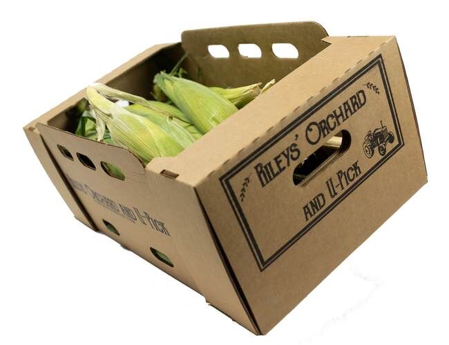 Rileys' Orchard Montauk Bi-Color Sweet Corn, 4-Dozen Ears per Box