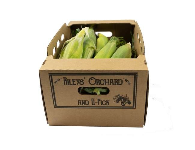 Rileys' Orchard Montauk Bi-Color Sweet Corn, 1-Dozen Ears per Box