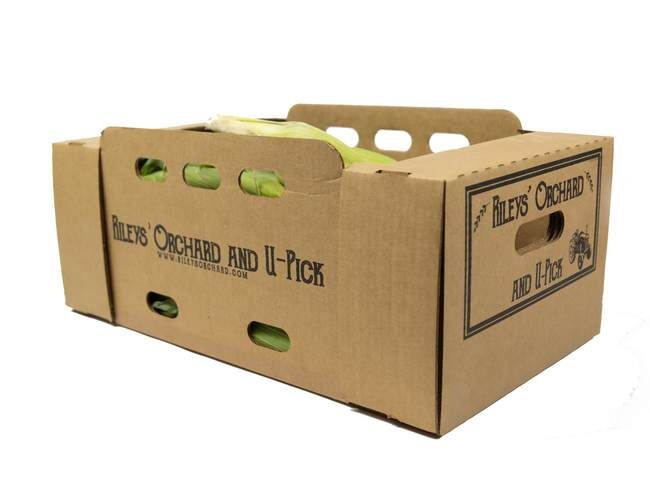 Rileys' Orchard Montauk Bi-Color Sweet Corn, 1-Dozen Ears per Box