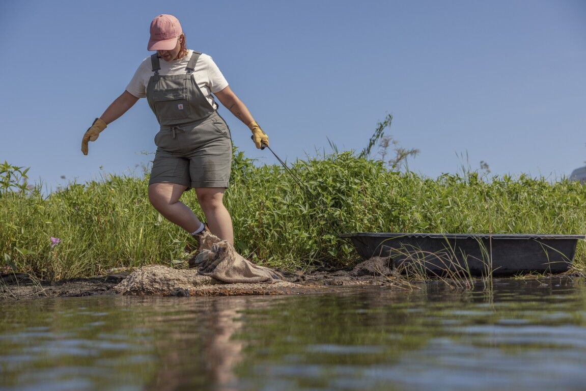 Carhartt Women's Force Ripstop Shortall