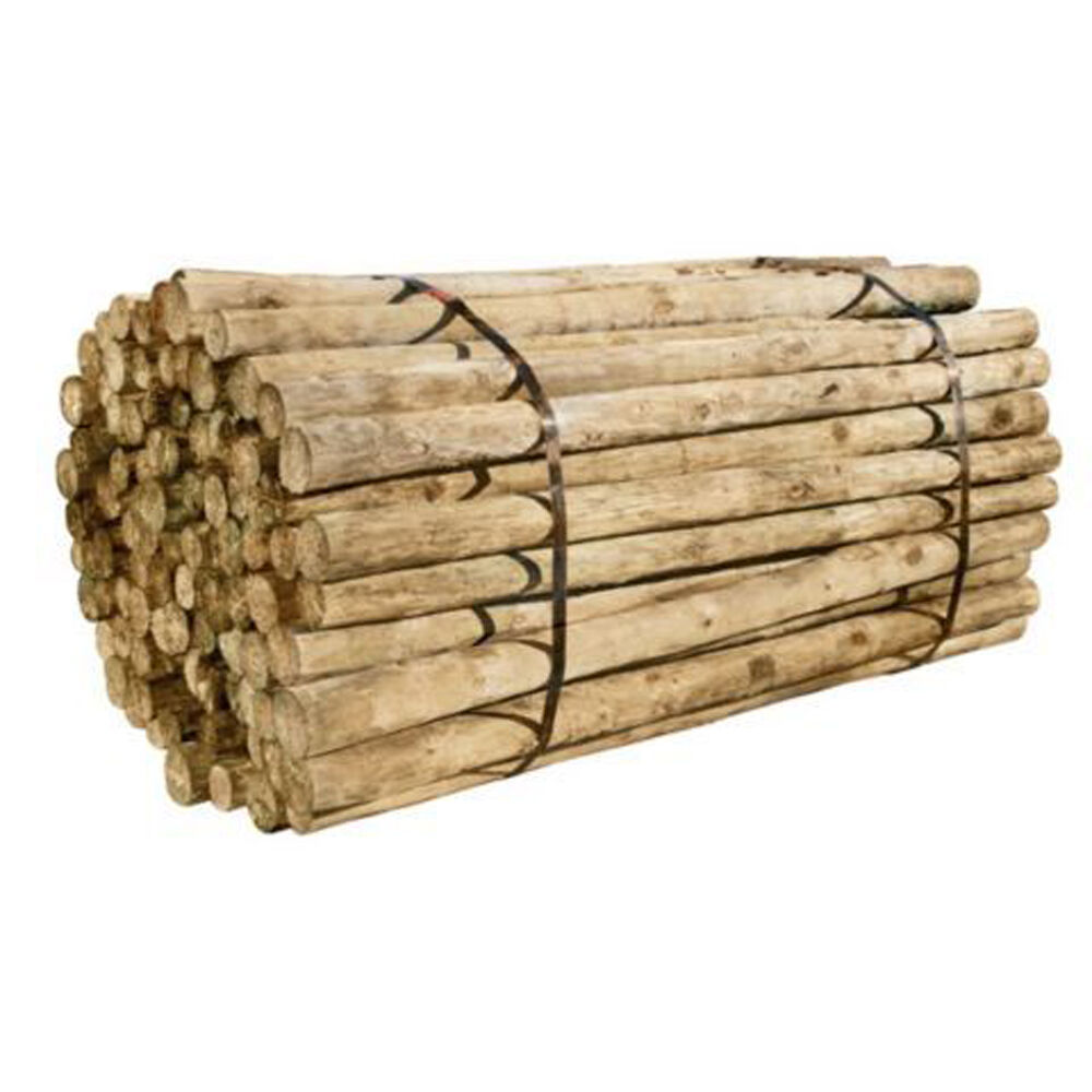 FPD Treated Fence Post, 5-In x 8-Ft