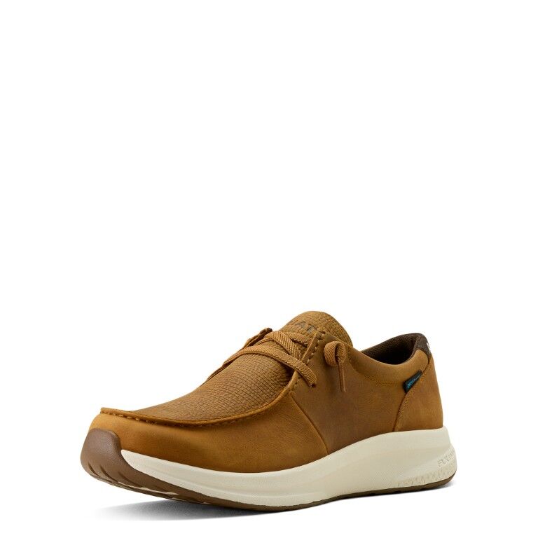 Ariat Men's Buckeye Waterproof Shoe