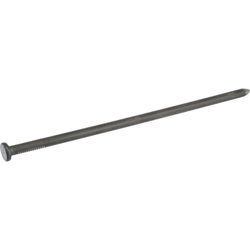 Hillman Bright Common Spike Nails 3/8 X 10 In, 5 lb