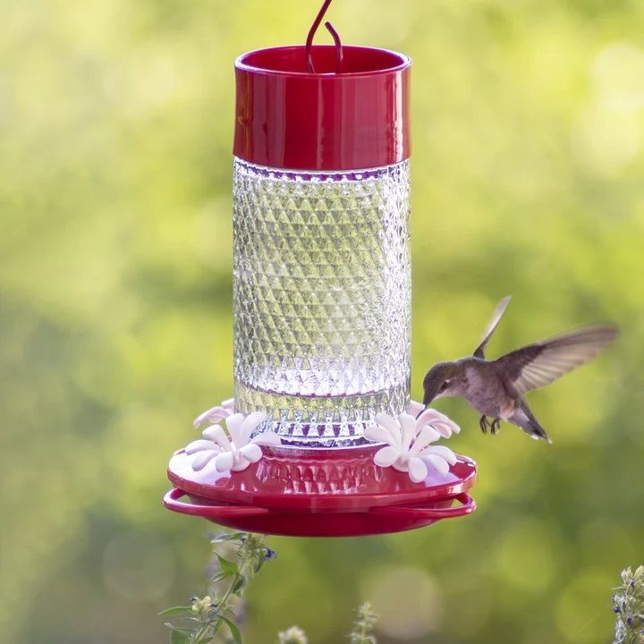 Nature's Way Charming Cherry Gravity Hummingbird Feeder, 13-Oz