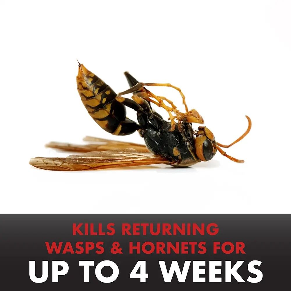 Spectracide PRO Wasp & Hornet Killer, 18-Oz