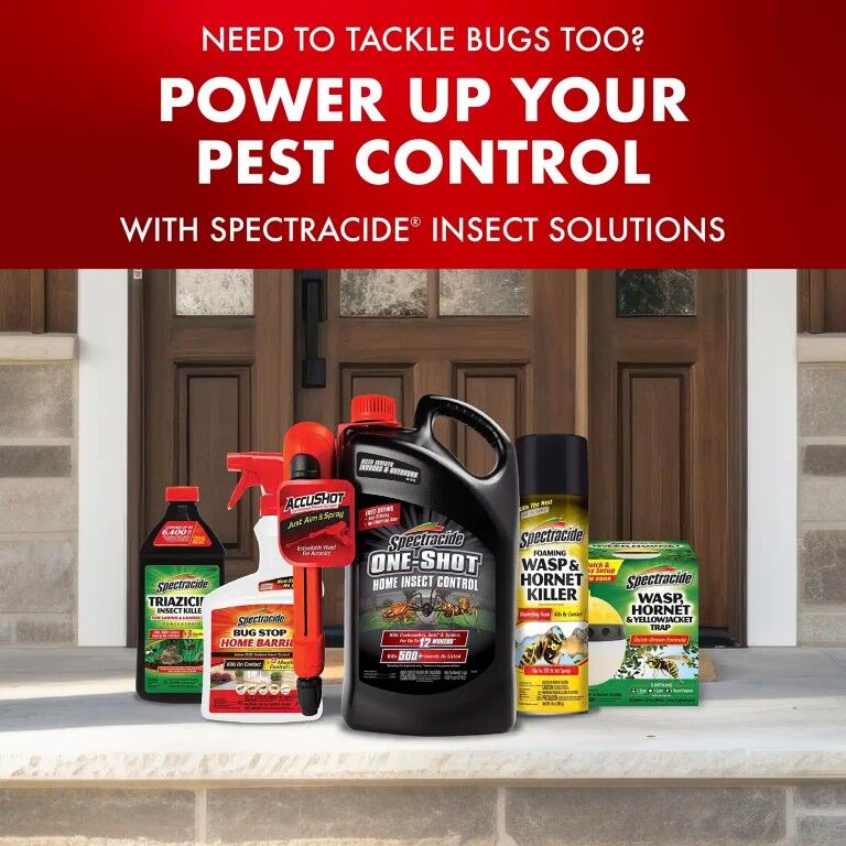 Spectracide Bug Stop Home Barrier With Accushot Sprayer, 1.33-Gal