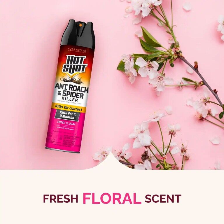 Hot Shot Fresh Floral Aerosol Ant, Roach & Spider Killer, 17.5-Oz