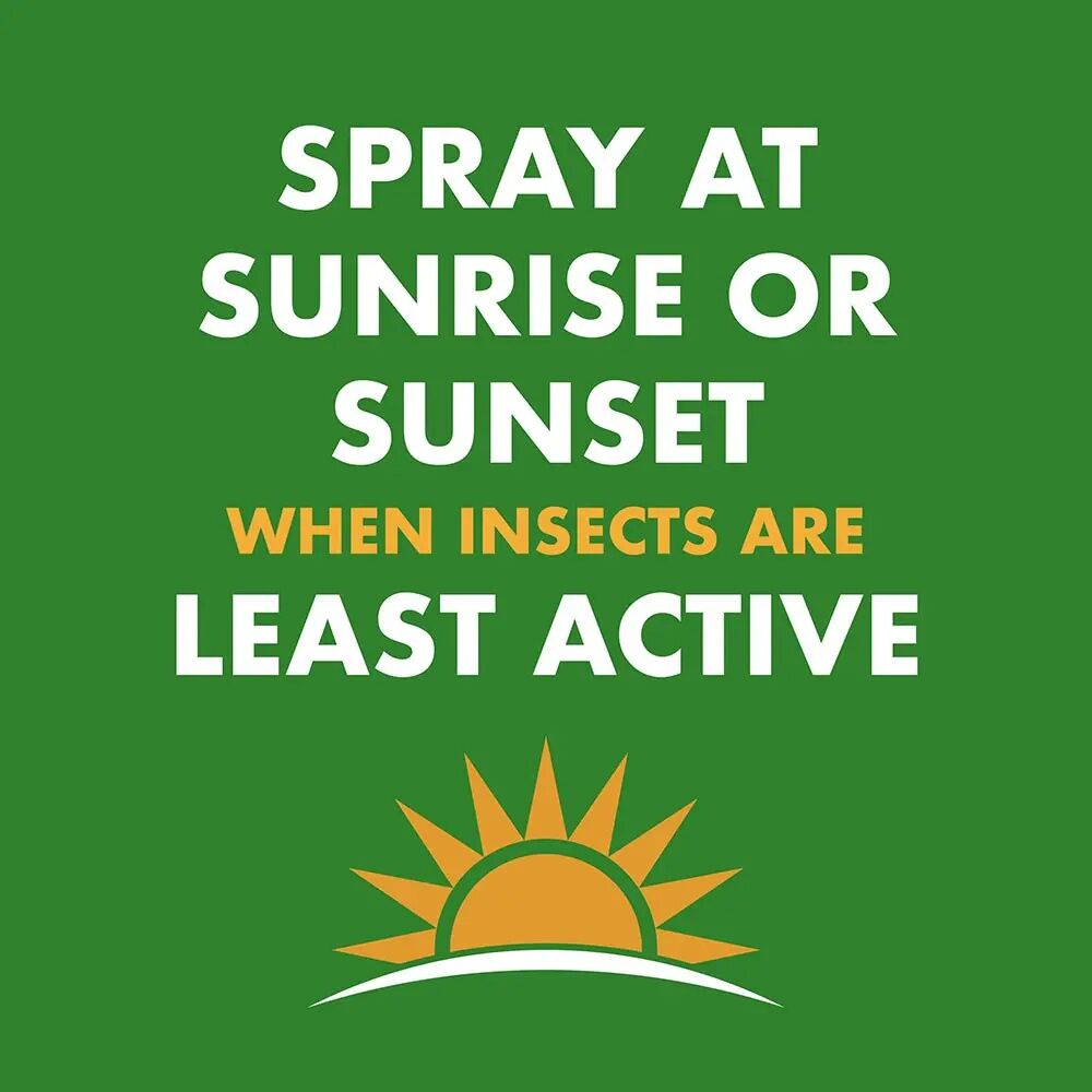 Spectracide Wasp & Hornet Killer, 18.5-Oz