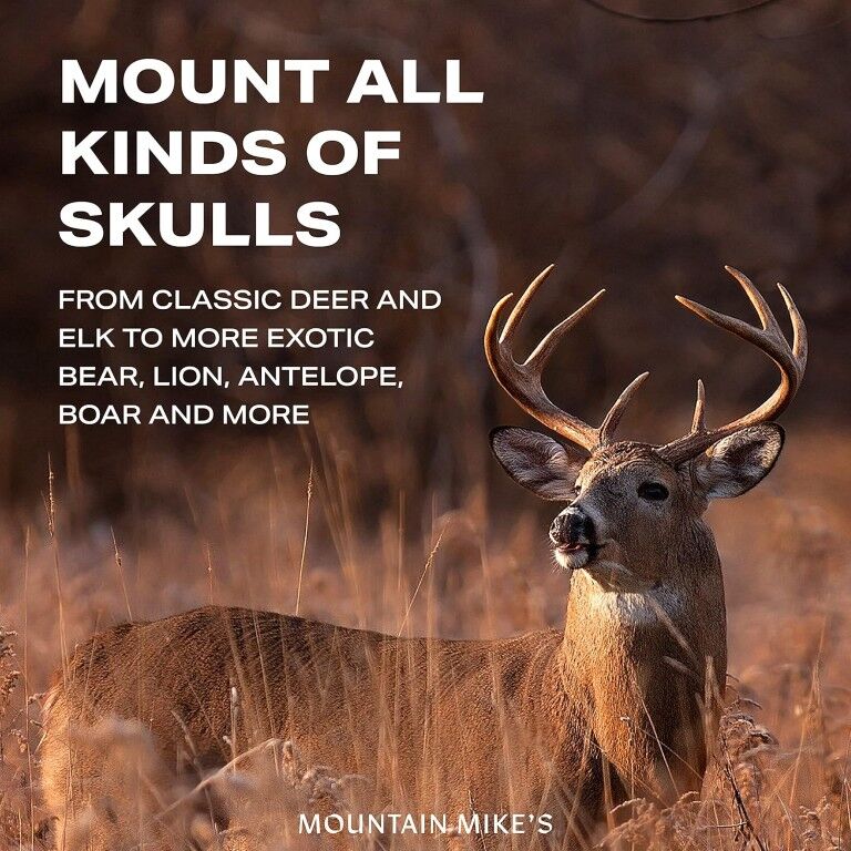 Mountain Mike's Reproductions Ultra Positioner Adjustable Skull Wall Mount