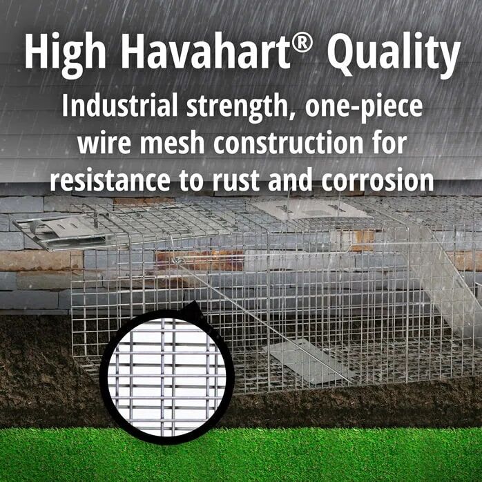 Havahart Large 2-Door Animal Trap, 36-In X 10-In X 12-In