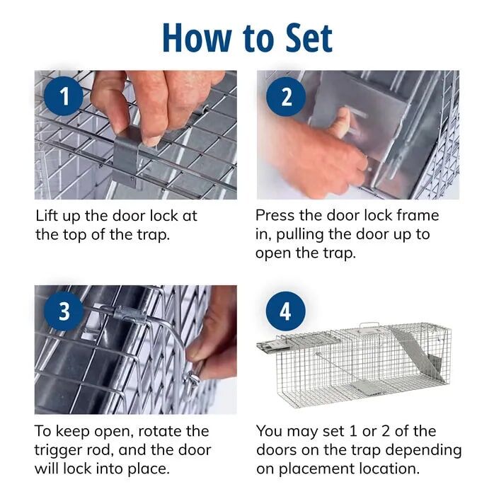 Havahart Large 2-Door Animal Trap, 36-In X 10-In X 12-In