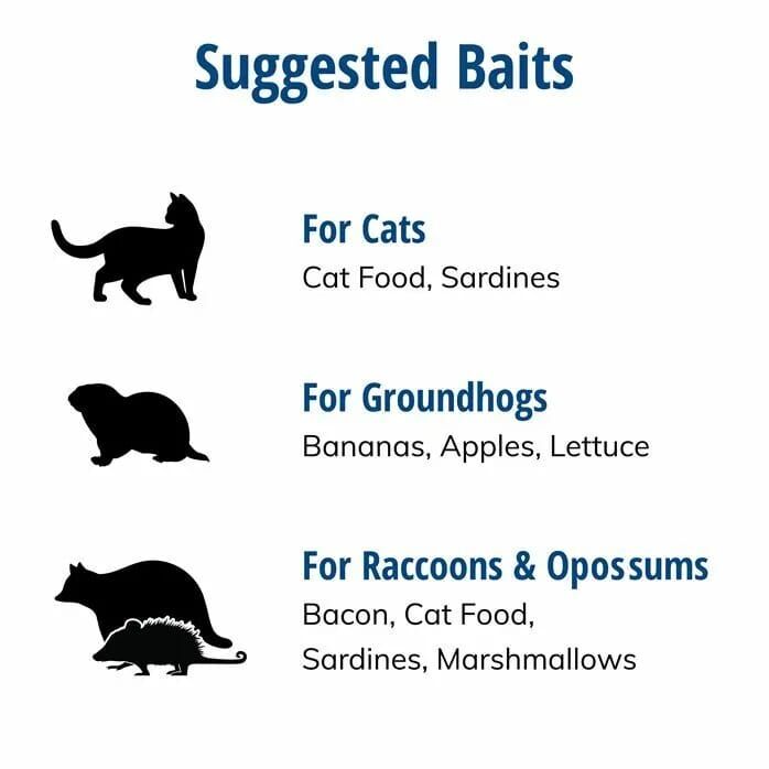 Havahart Large 2-Door Animal Trap, 36-In X 10-In X 12-In