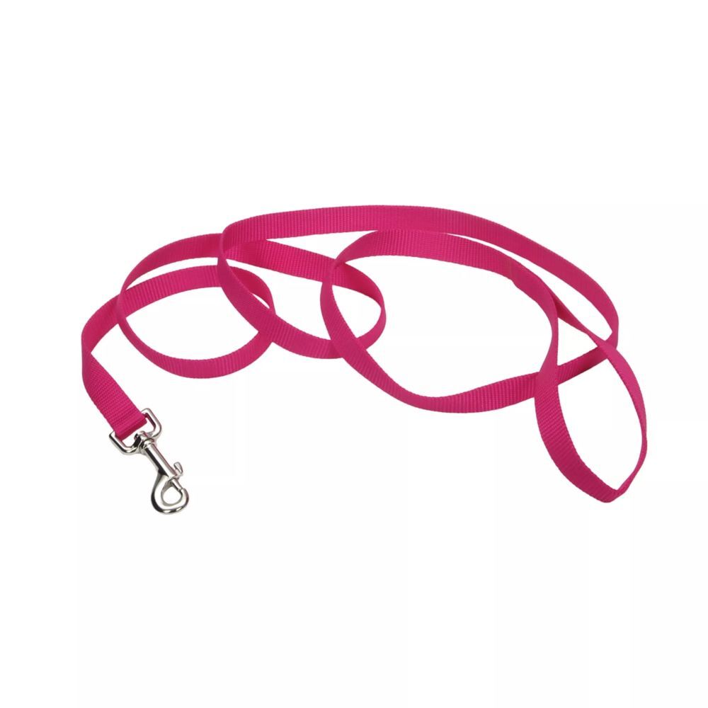Coastal Pet Products Pink Flamingo Single-Ply Dog Leash, 5/8-In x 6-ft