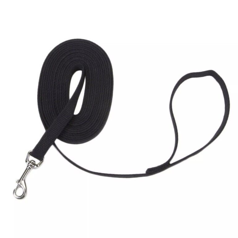 Coastal Pet Products Train Right Black Leash, 30-Ft