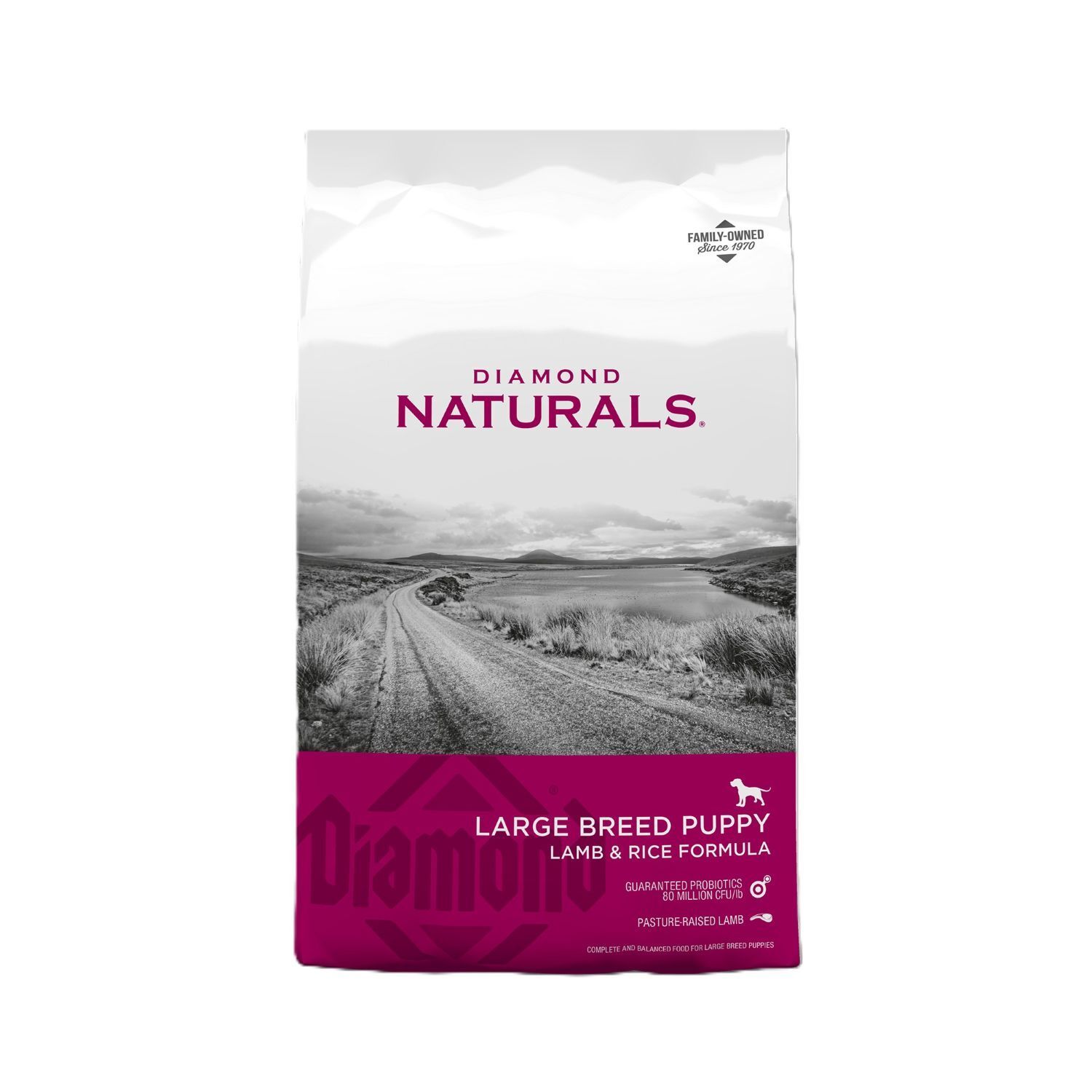 Diamond Naturals Large Breed Puppy Lamb & Rice Formula Puppy Food, 6-Lb