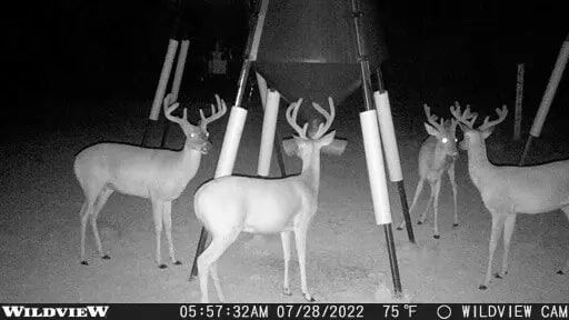 Stealth Cam Wildview 16 Digital Camera