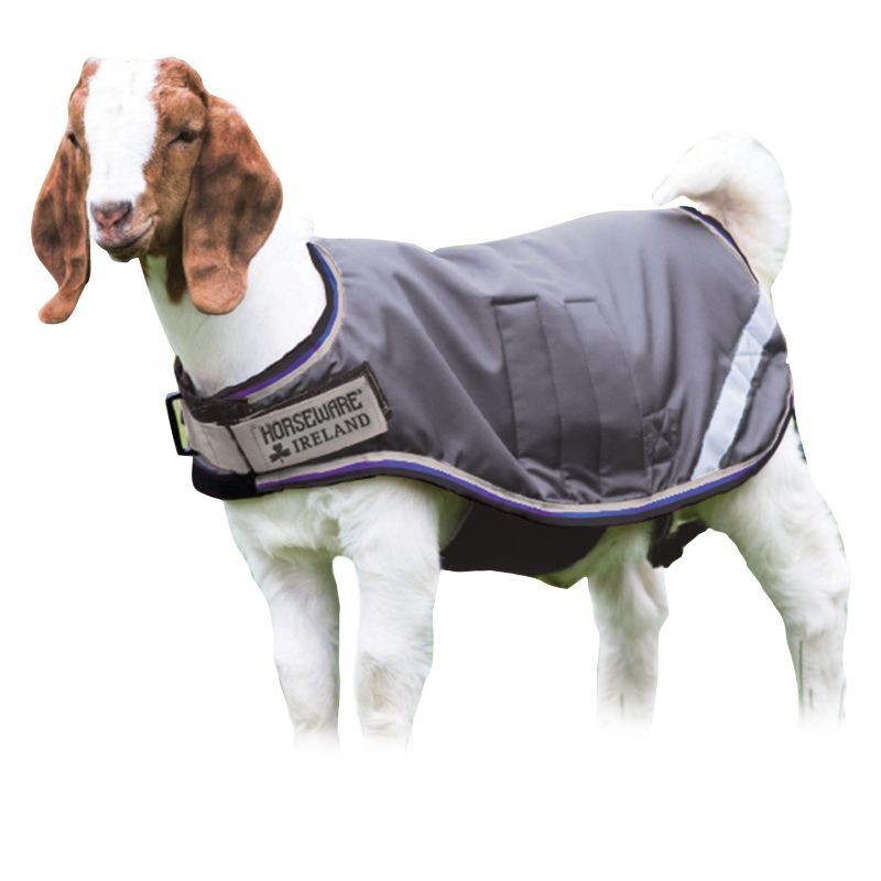 Goat Coat in Silver, Medium
