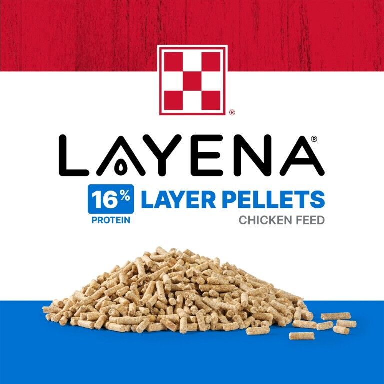 Purina Layena Pellets 16% Layer Hen Feed, 10-Lb