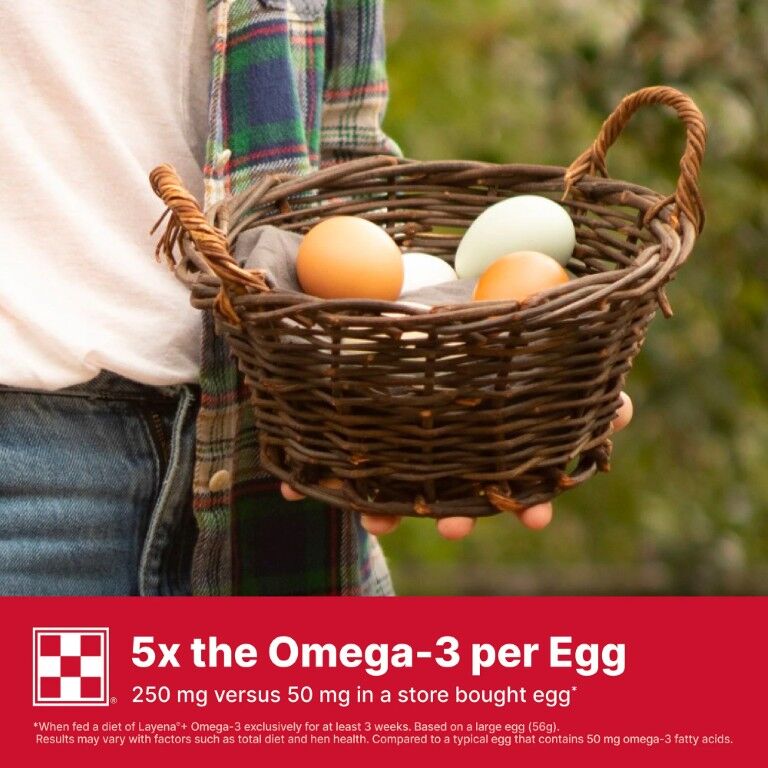 Purina Layena + Omega-3 16% Layer Hen Feed, 10-Lb