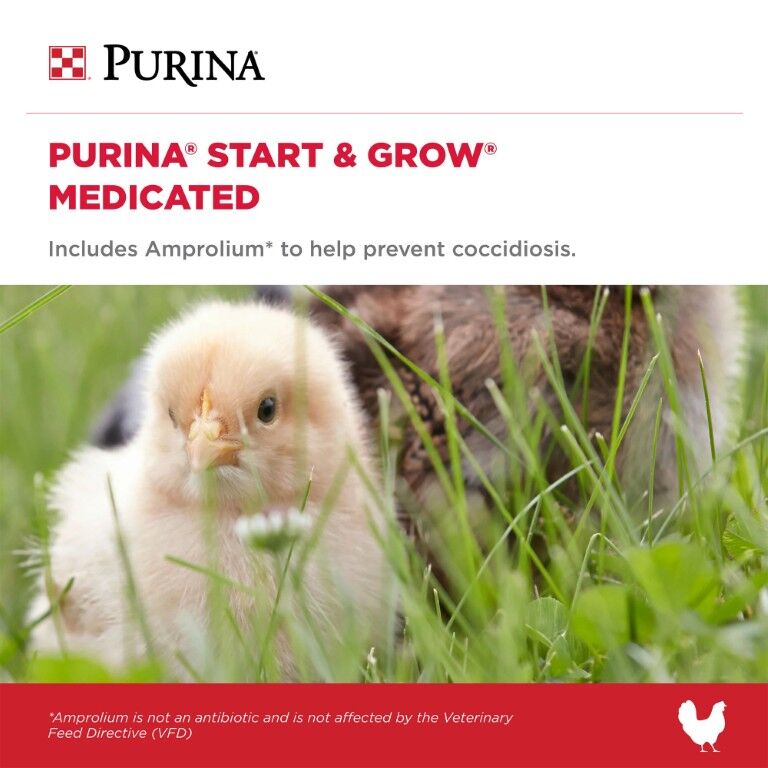 Purina Start & Grow Chick Feed Medicated, 5-Lb