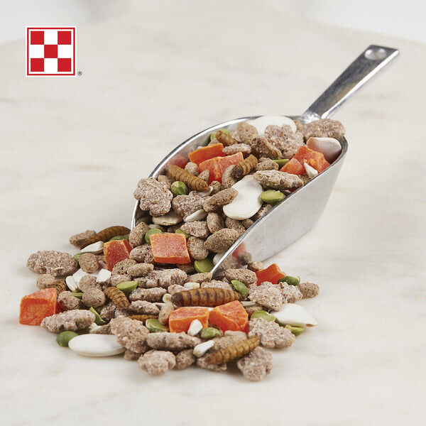 Purina Farm to Flock Protein Blend Hen Treats, 7.5-Lb