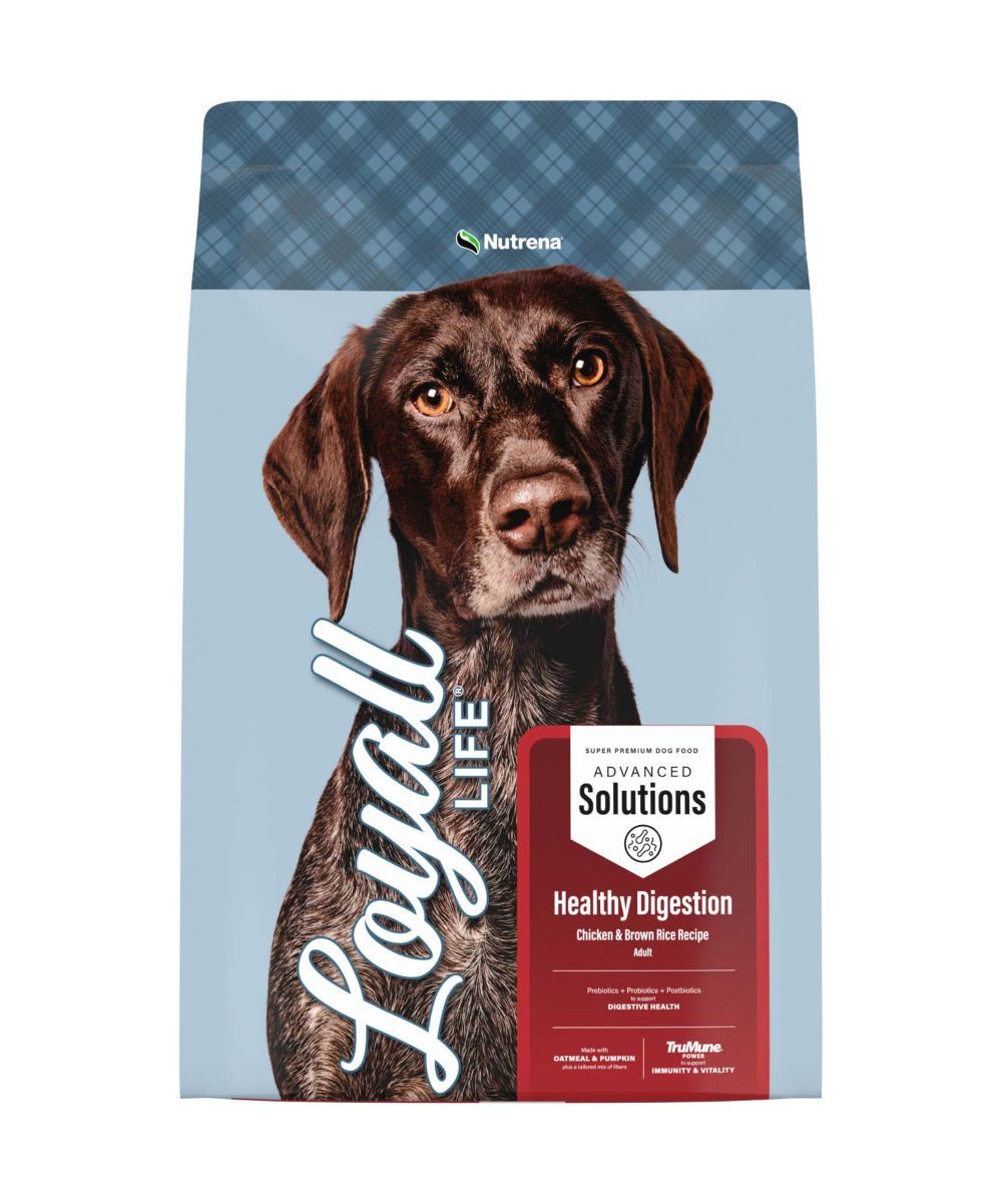 Nutrena Loyall Life Advanced Solutions Healthy Digestion Chicken & Brown Rice Dog Food, 40-Lb