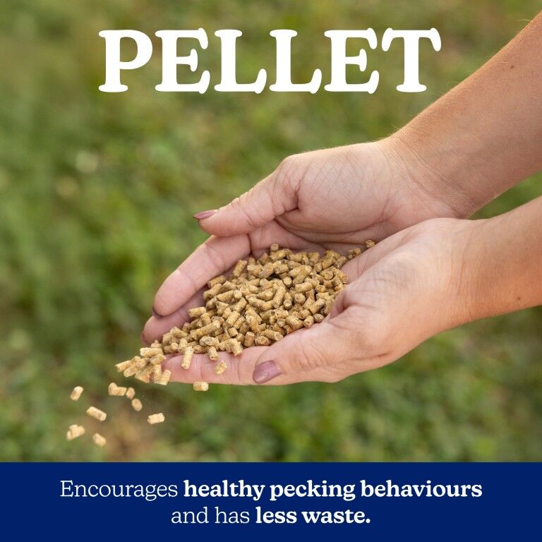 Nutrena NatureWise Hearty Hen 18% Protein Soy-Free Pellet, 40-Lb