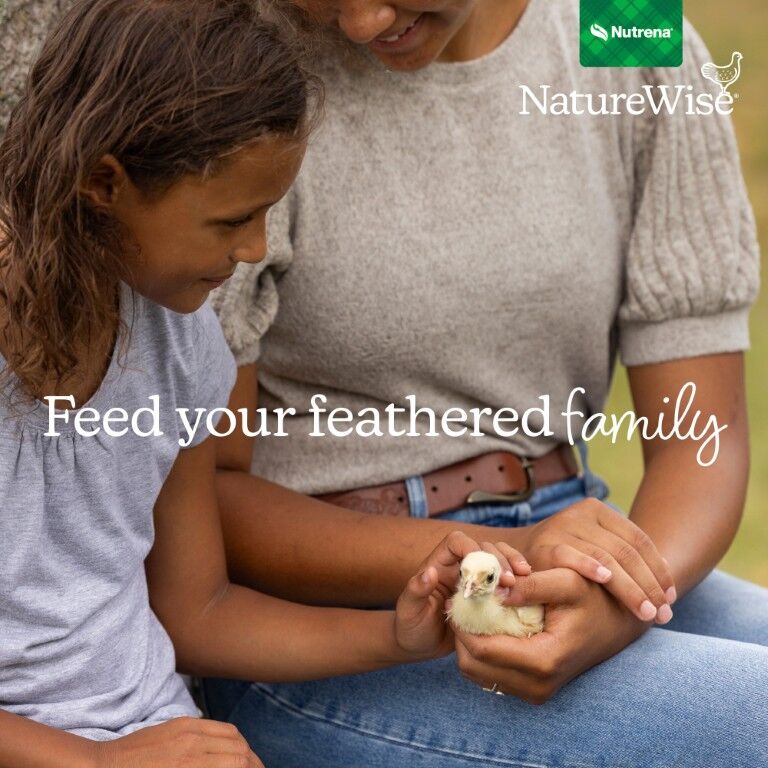 Nutrena NatureWise Chick Starter Grower 18% Crumble Non-Medicated, 40-Lb