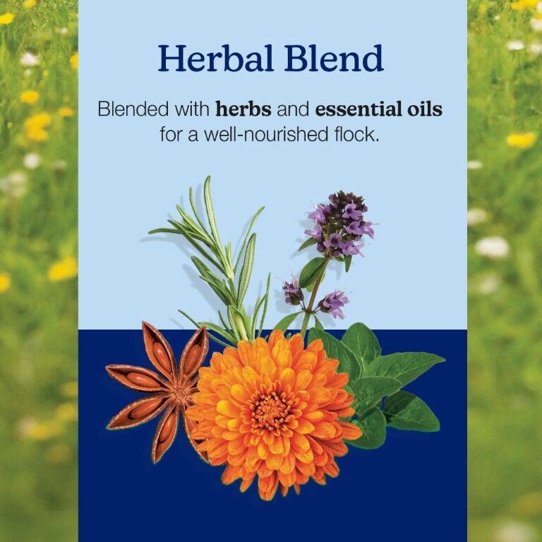 Nutrena NatureWise Chick Starter Grower 18% Protein Crumble Medicated, 40-Lb