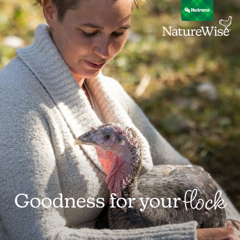 Nutrena NatureWise Meatbird Start To Finish 22% Protein Crumble, 40-Lb