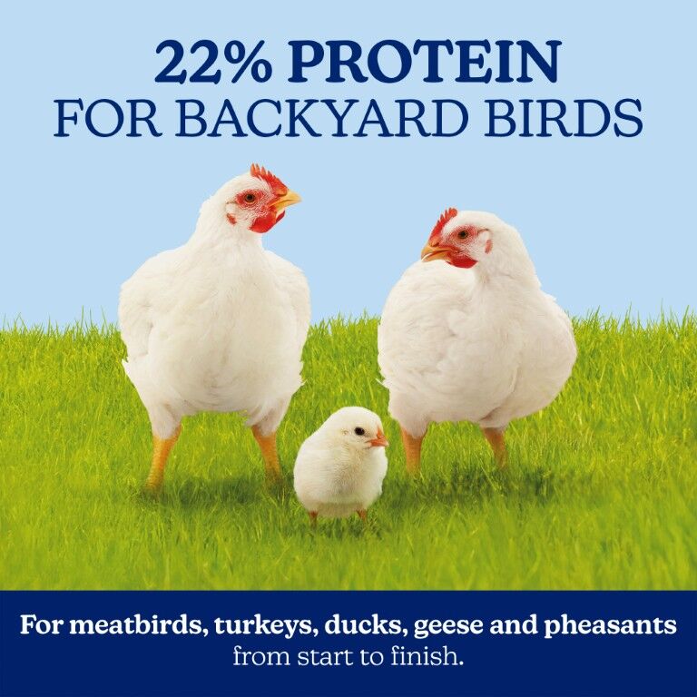 Nutrena NatureWise Meatbird Start To Finish 22% Protein Crumble, 40-Lb