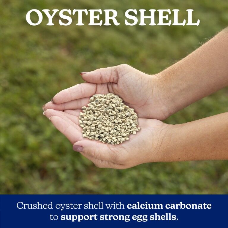 Nutrena NatureWise Oyster Shell, 7-Lb
