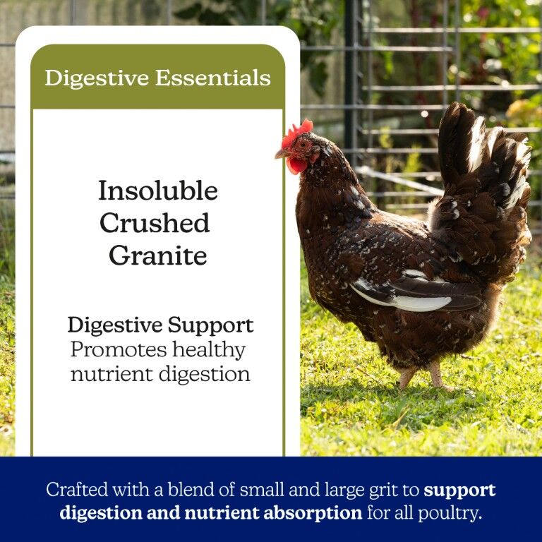 Nutrena NatureWise Poultry Grit, 7-Lb