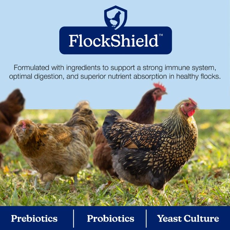 Nutrena NatureWise All Flock 20% Protein Pellet, 40-Lb