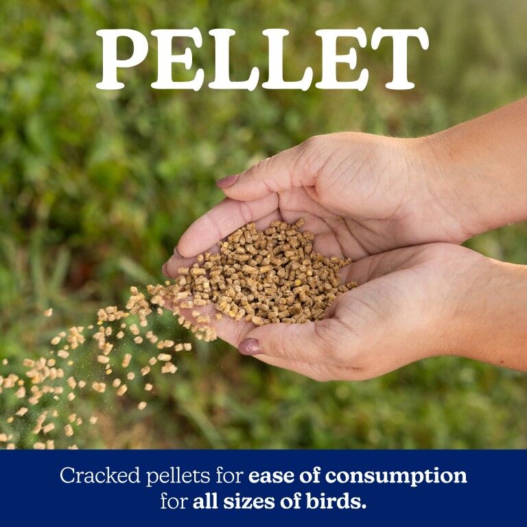 Nutrena NatureWise All Flock 20% Protein Pellet, 40-Lb