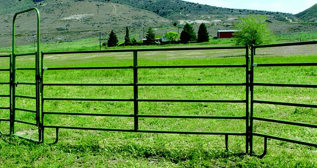 Powder River 16-Ft x 64-In 14-Ga 1600 Series Tube Panel