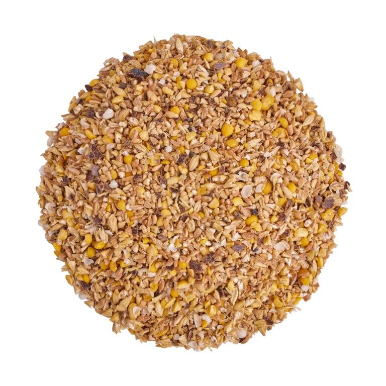 Scratch & Peck Feeds Organic Starter Mash, 40-Lb