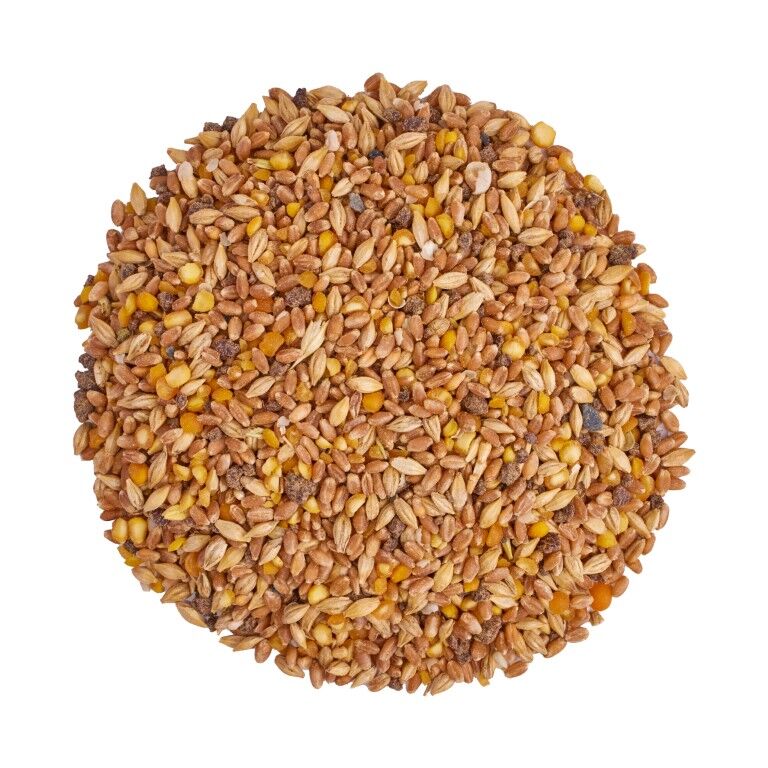 Scratch & Peck Feeds Organic Grower Mash, 40-Lb