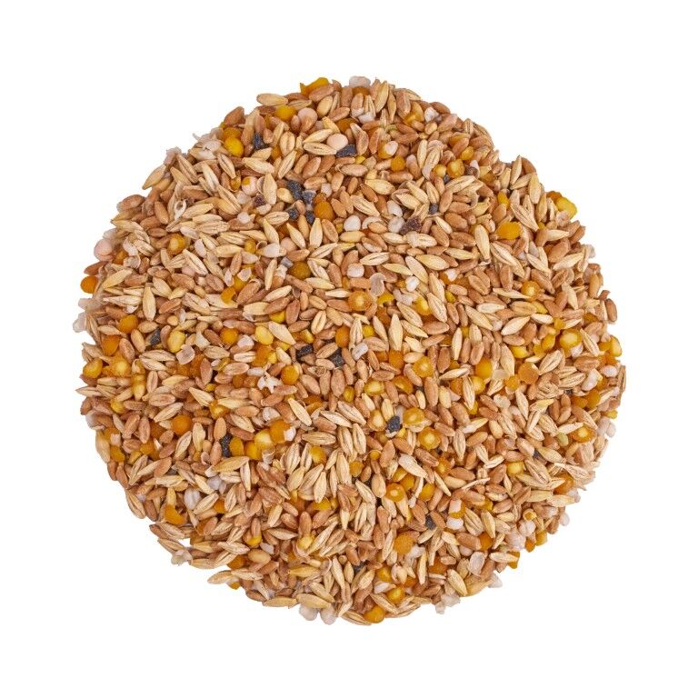 Scratch & Peck Feeds Organic Layer Mash 16%, 40-Lb