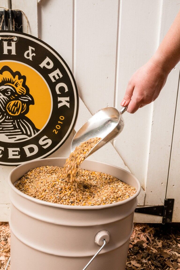 Scratch & Peck Feeds Organic Layer Mash 16%, 10-Lb